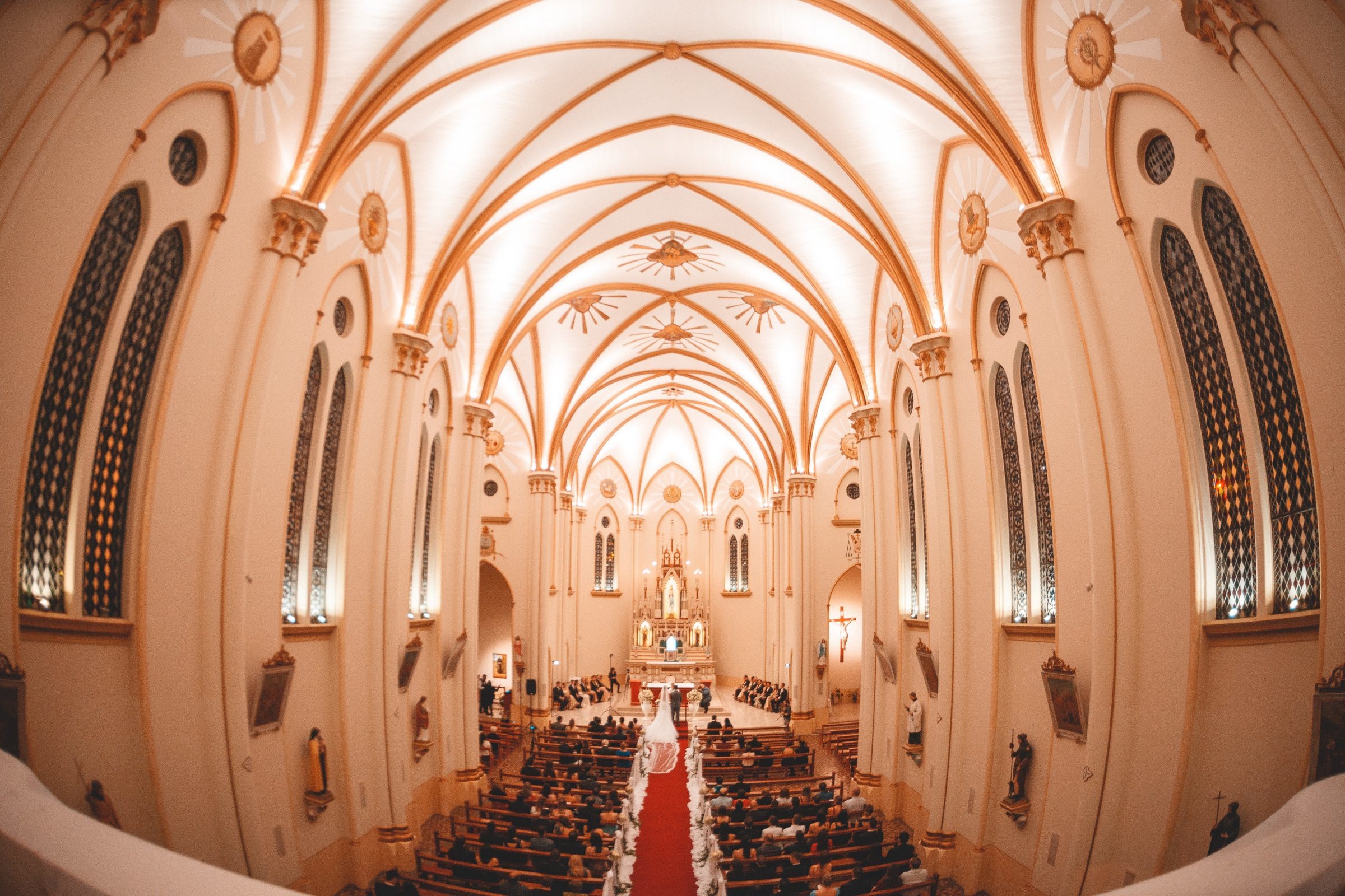 Foto de Diogo Moreira 5